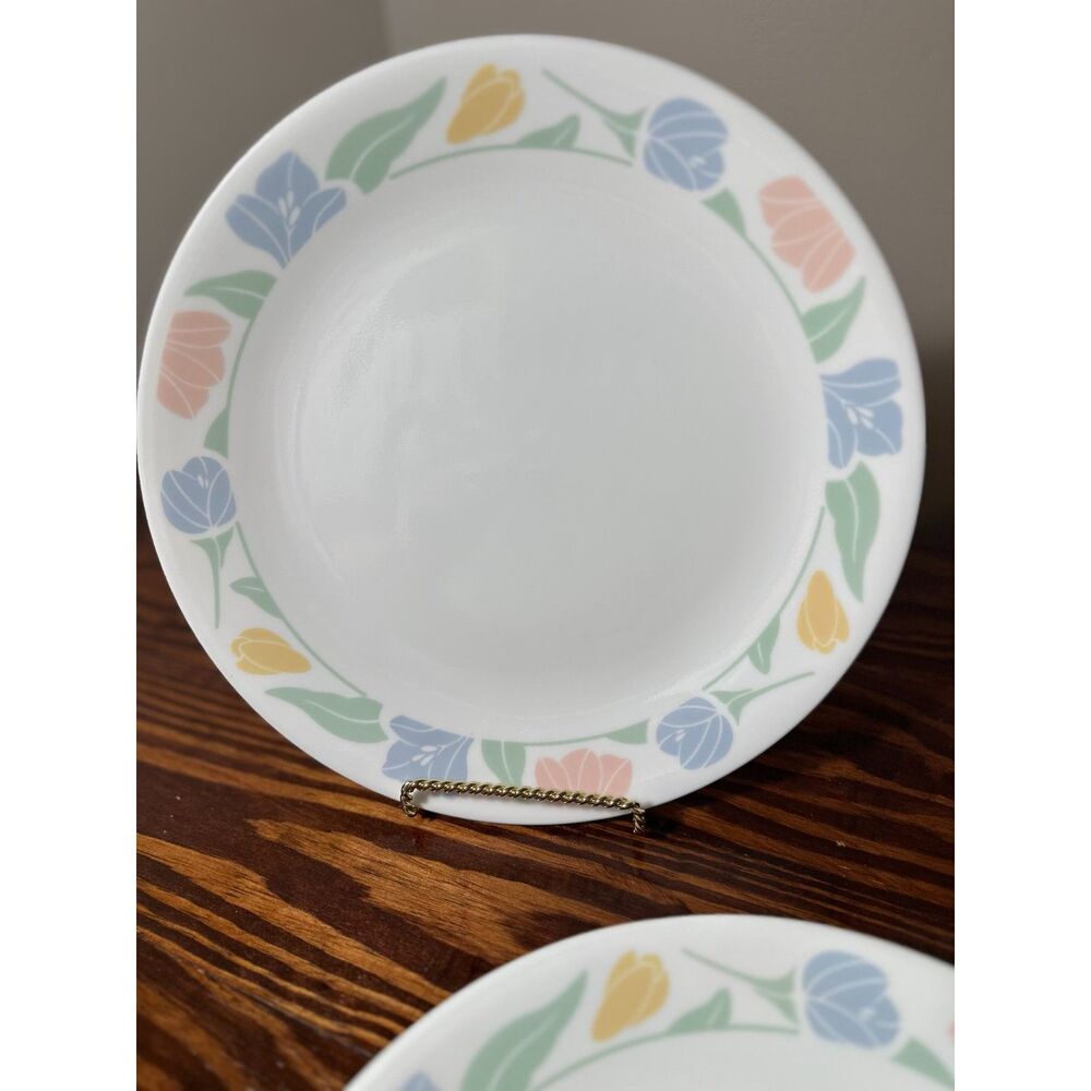 6‎ VTG Friendship Corelle by Corning Dinner Plates (10.25") Pastels, Made in USA - Picture 7 of 8
